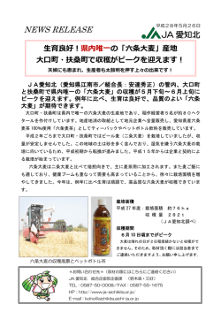 詳しくはこちらをご覧ください