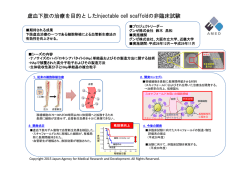 虚血下肢の治療を目的としたInjectable cell scaffoldの非臨床試験