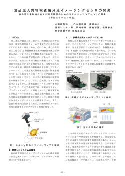 発表要旨（PDFファイル）