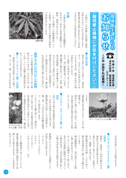 環境衛生課からのお知らせ