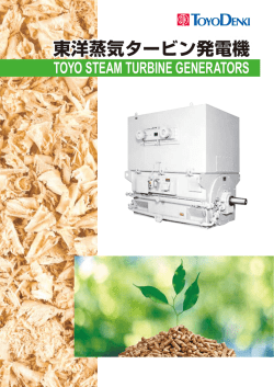 東洋蒸気タービン発電機
