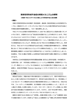 家族性骨形成不全症の病態メカニズムの解明
