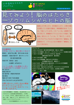 見てみよう！脳のはたらき ―ゾウリムシからヒトの脳
