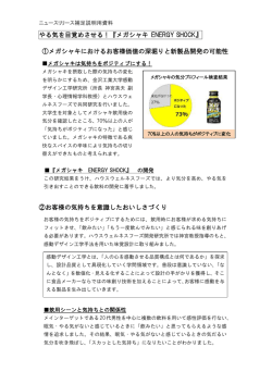 補足説明資料