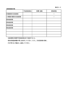業務実施体制(様式3-3）（PDF：26KB）