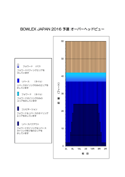 レーンパターンDL