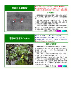 厚岸水鳥観察館 霧多布湿原センター