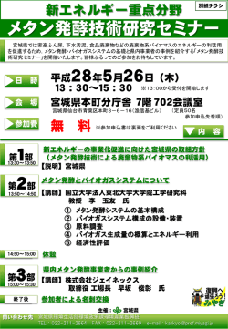 別紙チラシ [PDFファイル／746KB]