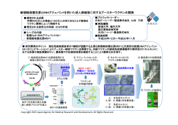 28課題内容紹介 日本BCG 新潟大学 - 国立研究開発法人日本医療研究