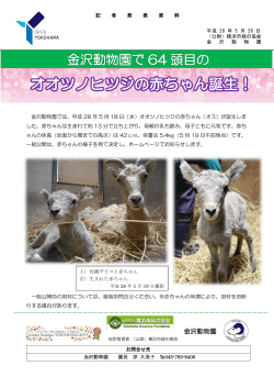 金沢動物園 - 横浜市緑の協会