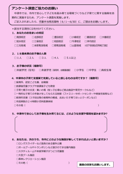 子育て施策アンケート[PDF：594KB]