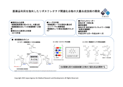 医薬品利用を指向したリボヌクレオチド関連化合物の大量合成技術の開発