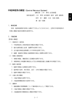 中枢神経系の解剖（Central Nervous System）