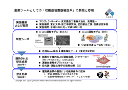 創薬ツールとしての「収縮型培養筋細胞系」の開発と応用