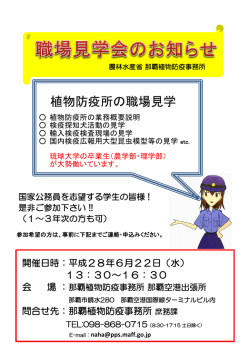 資料のPDFがダウンロードできます。