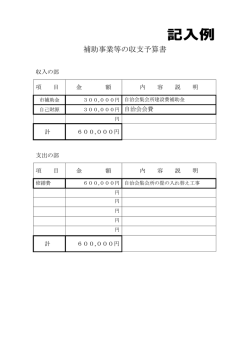 補助事業等の収支予算書【記入例】
