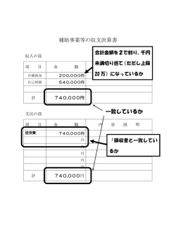 補助事業等の収支決算書【記入例】 （PDF 84.2KB）