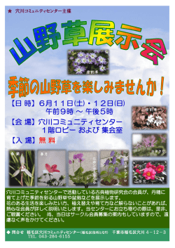 H280611-12 山野草展示会ポスター