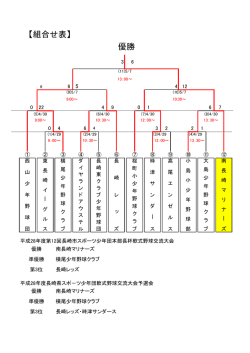 H28大会結果（PDF形式：57KB）