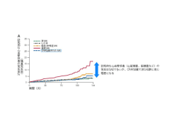 致死的な心血管疾患の発生率（PDF）