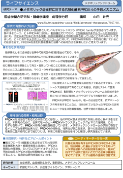 メタボリック症候群に対する抗酸化酵素PRDX4の予防メカニズム
