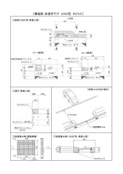 構造図（歩道切下げ155SF型）（PDF：326KB）