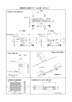 構造図（歩道切下げ155SF型）（PDF：326KB）