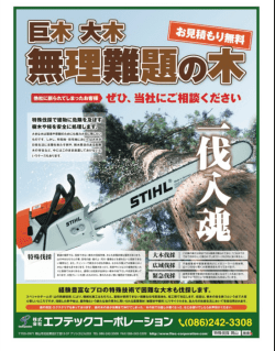 産経新聞の折り込みチラシに掲載されました。