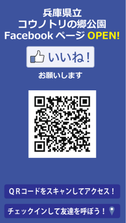 兵庫県立 コウノトリの郷公園 Facebook ページ OPEN!