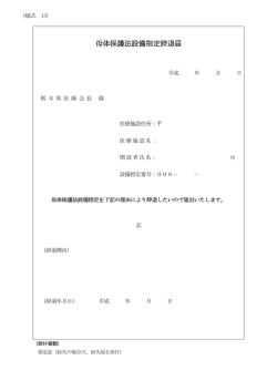様式13号