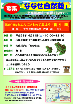 両生類