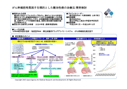 創薬20 課題内容紹介 東大 RNAi - 国立研究開発法人日本医療研究
