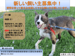 ポスターはこちらをクリック！