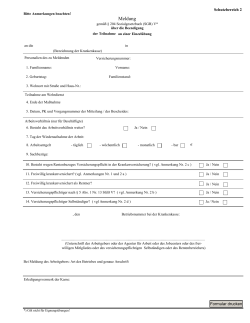 Meldung &uuml;ber das Ende eines freiwilligen Wehrdienstes