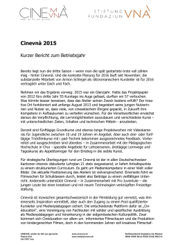 Rechenschaftbericht Cinevna2015