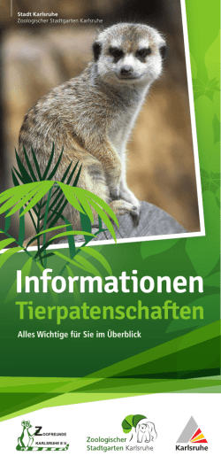 Informationen