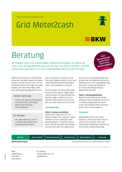 Grid Meter2cash Beratung