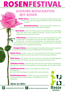 rosenfestival - Gartencenter Hesse