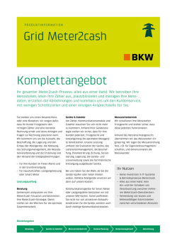Grid Meter2cash Komplettangebot