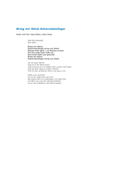 Bring mir Gl&uuml;ck Schornsteinfeger