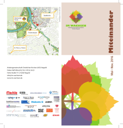 PDF-Programmflyer 2016