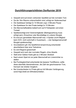 Durchf&uuml;hrungsrichtlinien Dorfturnier 2016