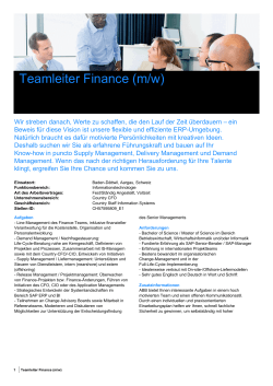 Teamleiter Finance (m/w)