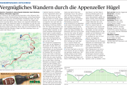 Jetzt herunterladen! - St. Galler Tagblatt