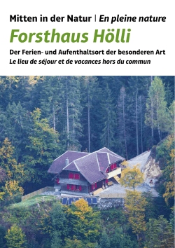 Brochure pour la maison forestière "Hölli"!