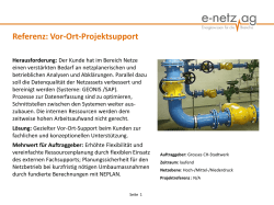 Referenz: Vor-Ort-Projektsupport - e