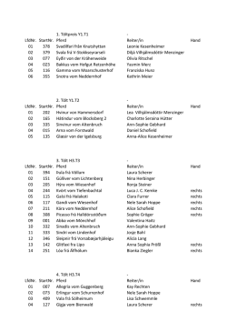 1. Töltpreis Y1.T1 - LfdNr. StartNr. Pferd Reiter/in Hand 01 378