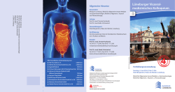 Ein Faltblatt mit weiteren Informationen zum