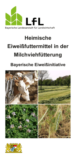 Heimische Eiwei&szlig;futtermittel in der Milchviehf&uuml;tterung_ f&uuml;r Internet.cdr
