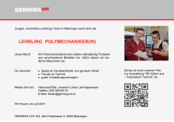 lehrling polymechaniker(in)